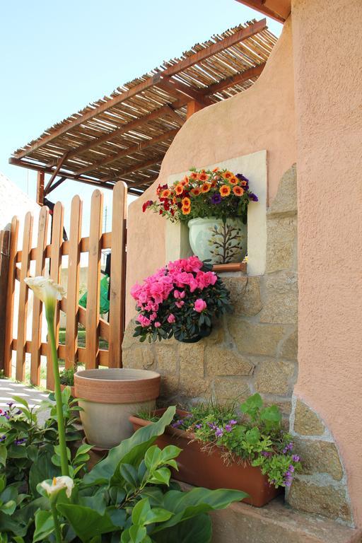 B&B La Pintadera Santa Teresa Gallura Zewnętrze zdjęcie