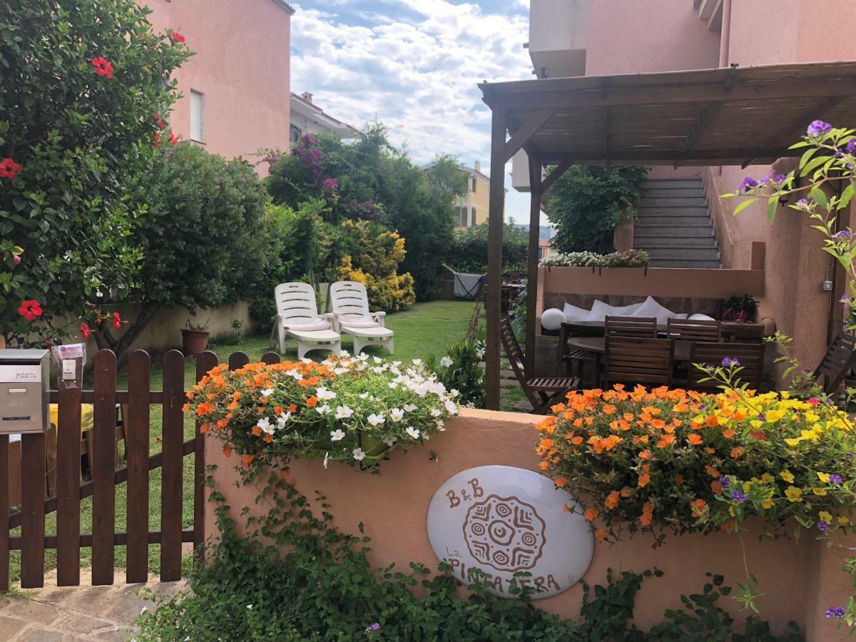 B&B La Pintadera Santa Teresa Gallura Zewnętrze zdjęcie